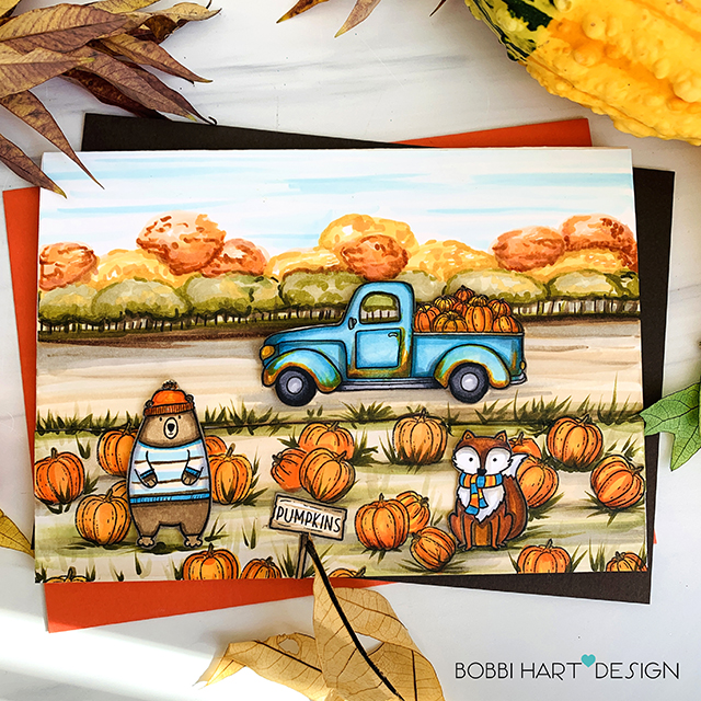 A Drive to the Pumpkin Patch