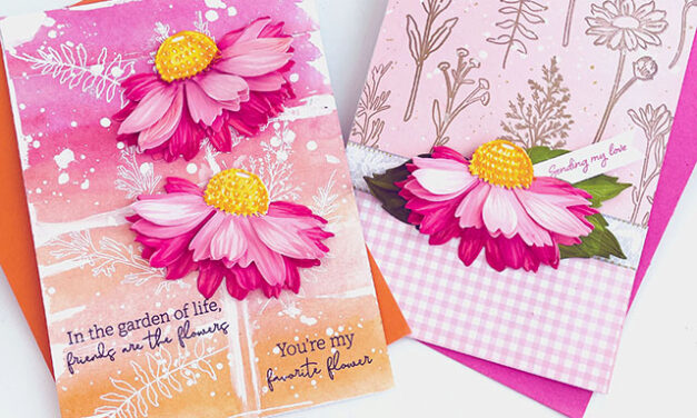 Summer Stems and Coneflower Cards