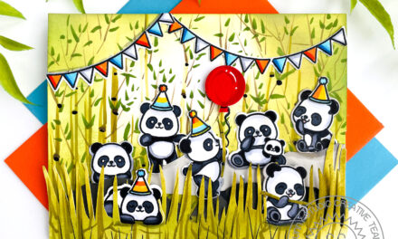 It’s a Panda Party!
